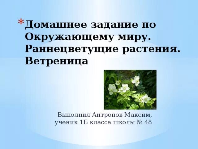 Сообщение о раннецветущих растениях 2 класс. Раннецветущие растения окружающий мир 2 класс. раннецветущие растения окружающий мир. раннецветущие растения 2 класс окружающий. культурные раннецветущие растения.
