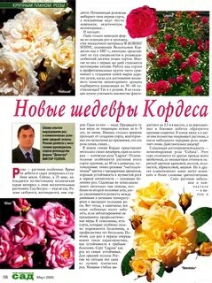 Описание сортов плетистых роз