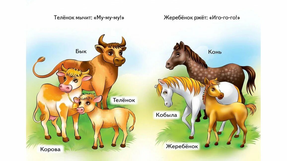 Какая мама чья мама. Домашних животных для детей. Животные и Детеныши для детей. Семейство домашних животных для детей. Семья домашние животные для дошкольников.