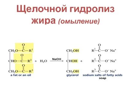 Продукты щелочного гидролиза