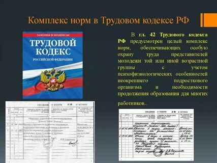 Текст проекта кодекса