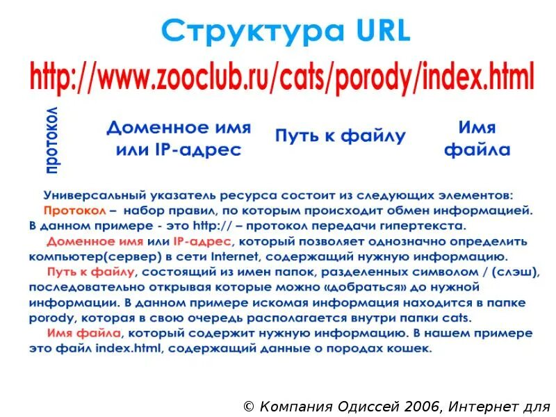 Структура URL. Состав URL адреса. Строение URL. Структура урл адреса. Домен url