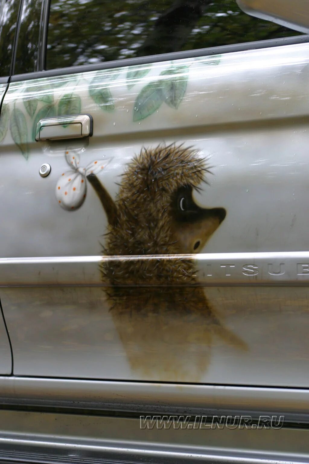 Ежик на авто. Африканский карликовый ежик. Ежик бмв. Ежик в машине. Машина еж.
