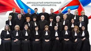 Сайт тринадцатый арбитражный. 11-й апелляционный арбитражный суд самара. 15 арбитражный апелляционный суд судья абраменко. муравьева судья семнадцатый арбитражный апелляционный суд. антонова судья двенадцатый арбитражный апелляционный суд.