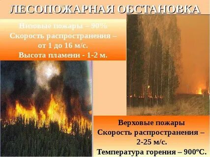 Чс по скорости развития