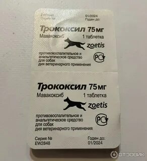 Трококсил для собак