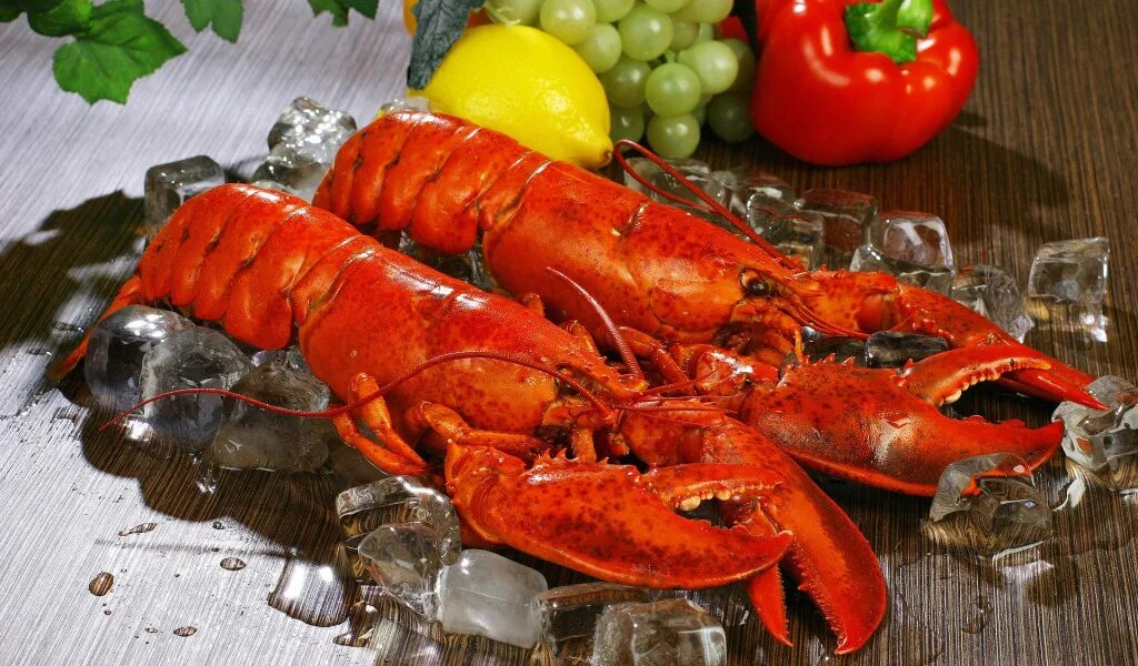 Лангусты крабы. Морепродукты омар лангуст. лобстеры лангусты омары. омар краб лобстер лангуст. морепродукты крабы лангусты омары.