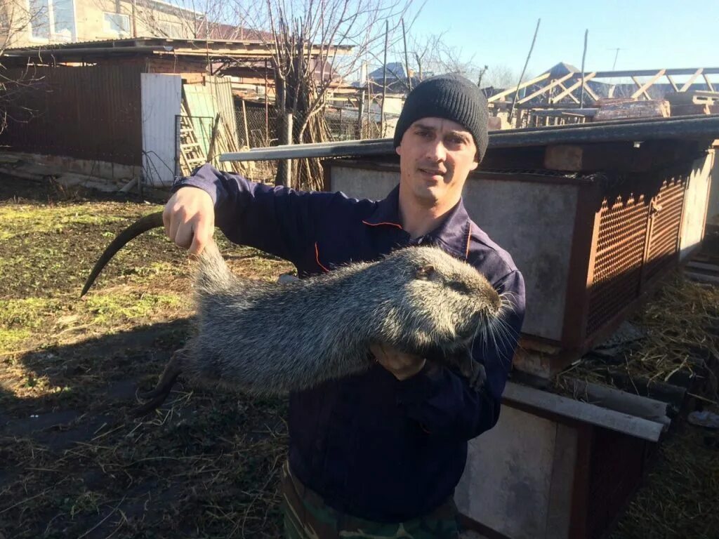 Нутря