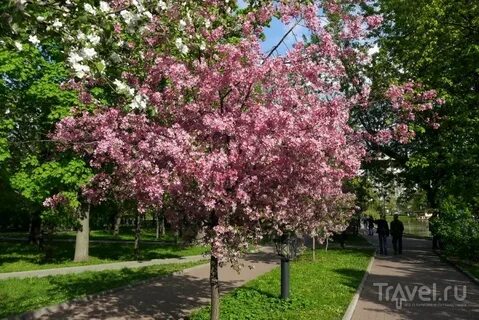 В москве много прекрасных парков