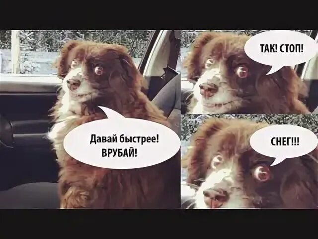 Врубай побыстрее. Врубай мем. врубай давай. так стоп. врубай сериальчик мем.