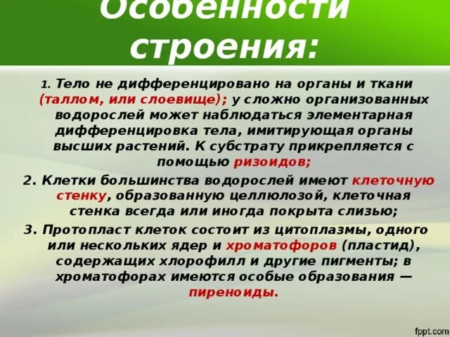 Тело водорослей не имеет органов и тканей. Не дифференцировано на органы тело у. Тело не дифференцировано это что. Что такое дифференцированные органы в биологии.