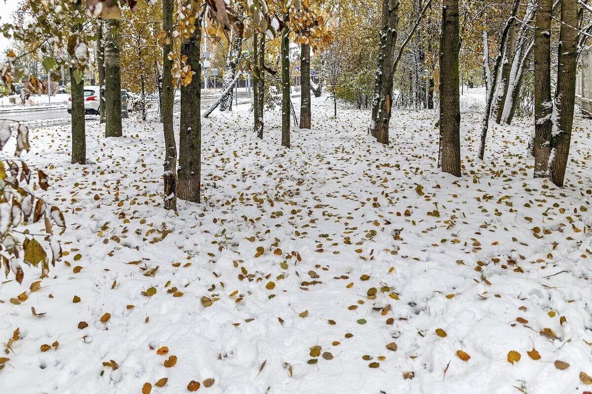 Прилети снегом. Зима девушка кружится. Снежок прилетел. Снег. Melting snow.