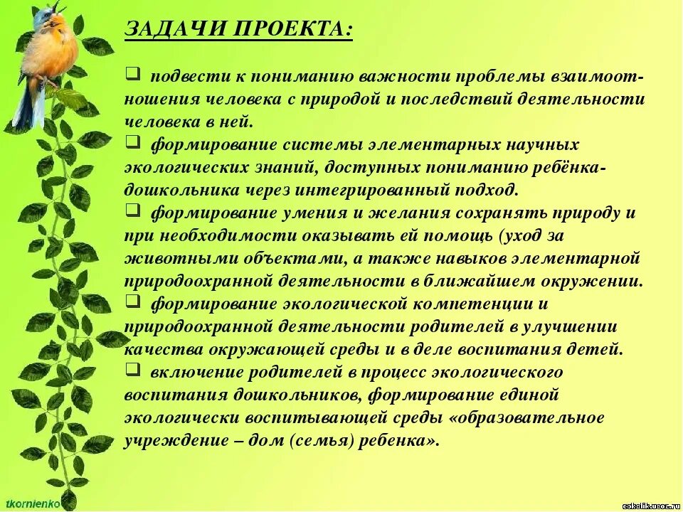 Проект по экологическому воспитанию. Цель экологического воспитания в детском саду. Задачи экологического воспитания дошкольников. Проекты по экологическому воспитанию дошкольников.