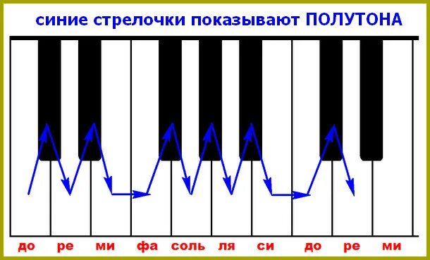 Чем отличается тон от звука. Тон и полутон на клавиатуре фортепиано. Тон полутон на клавиатуре пианино. Клавиатура фортепиано для сольфеджио тон полутон. Клавиатура для сольфеджио с тонами и полутонами.