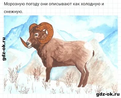 Животные твоего края