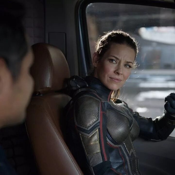 The wasp 2025