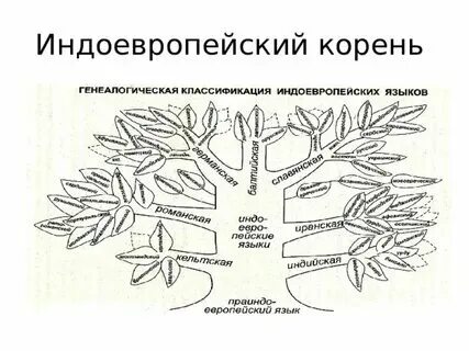 Древний индоевропейский язык. Индоевропейские языки схема. Языковое древо индоевропейских языков. Индоевропейская семья генеалогическое дерево. Праиндоевропейский (общеиндоевропейский) язык-основа.