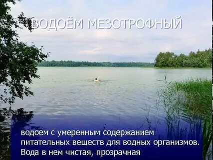 Пруд характеристики
