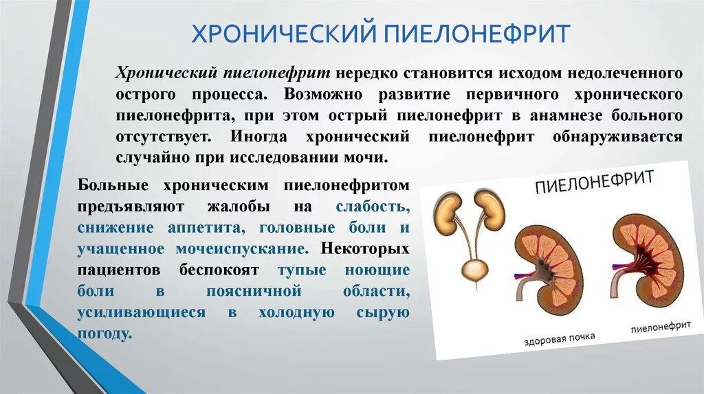 История хронического пиелонефрита. Хронический обструктивный пиелонефрит 11.1. Острый пиелонефрит Мочеполовая система. Хронический пиелонефрит функции почек. Хронический полиенифрит почек.