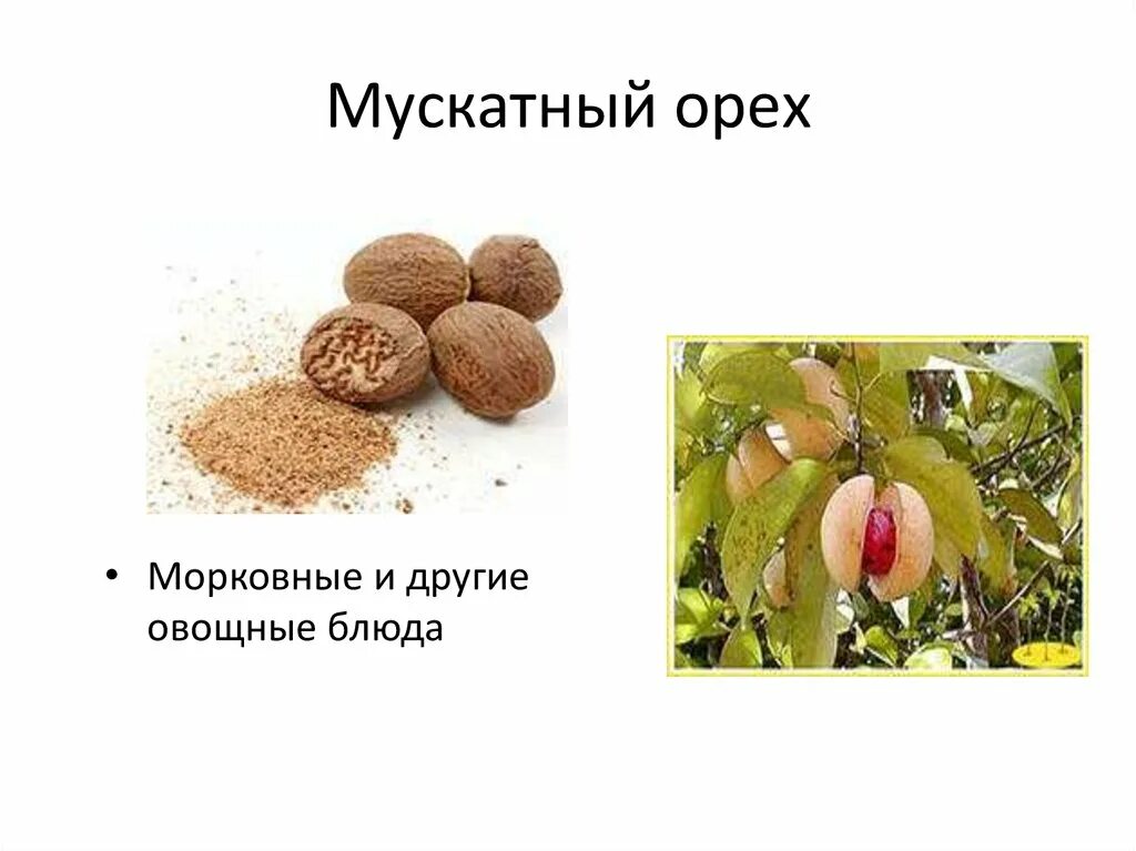 Мускатный орех. Мускатный орех наркологические. Мускатный орех качество. Мускатный орех польза и вред