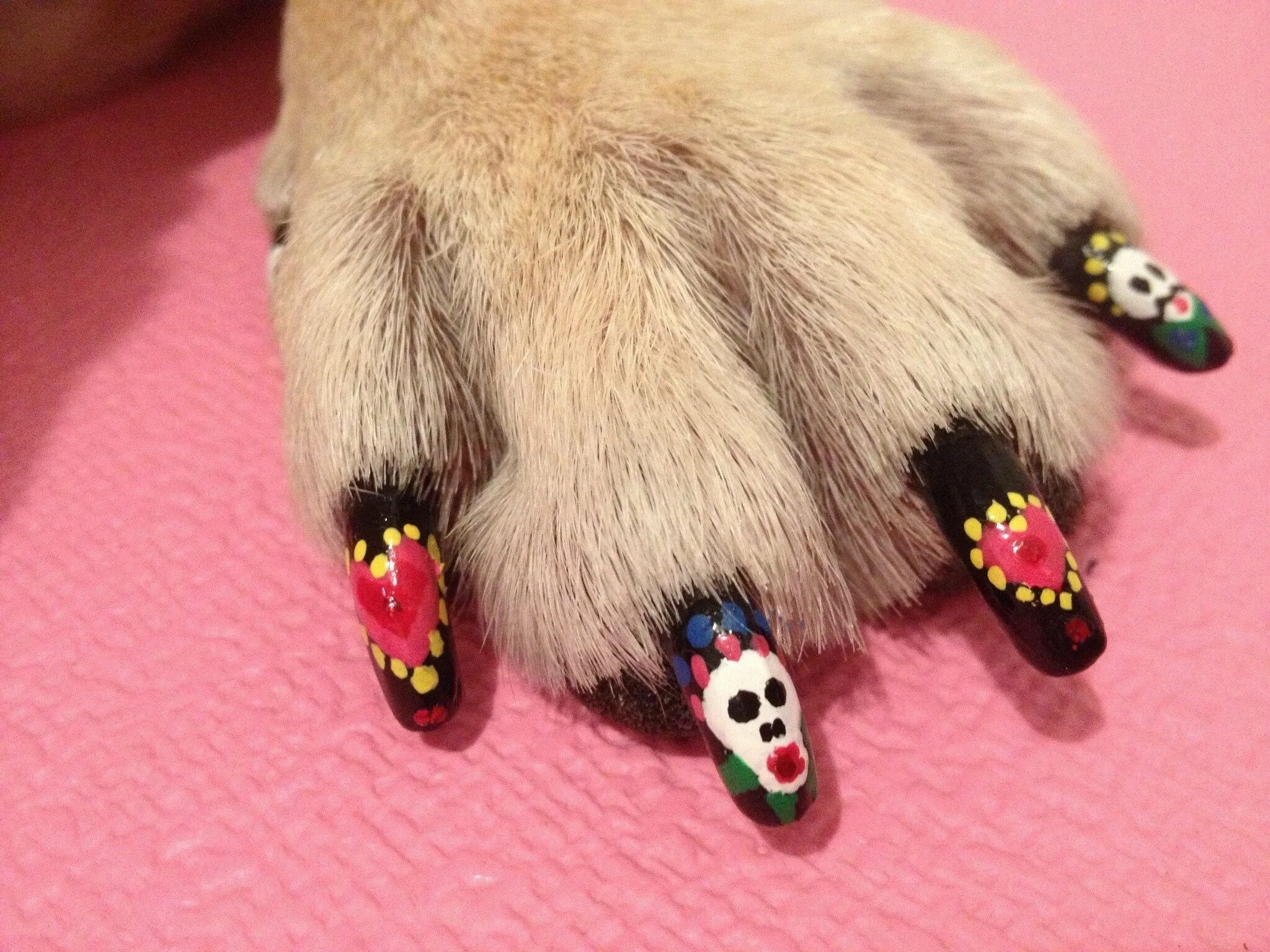 Лапа собаки на ногтях. Маникюр с собаками. Маникюр с лапками.