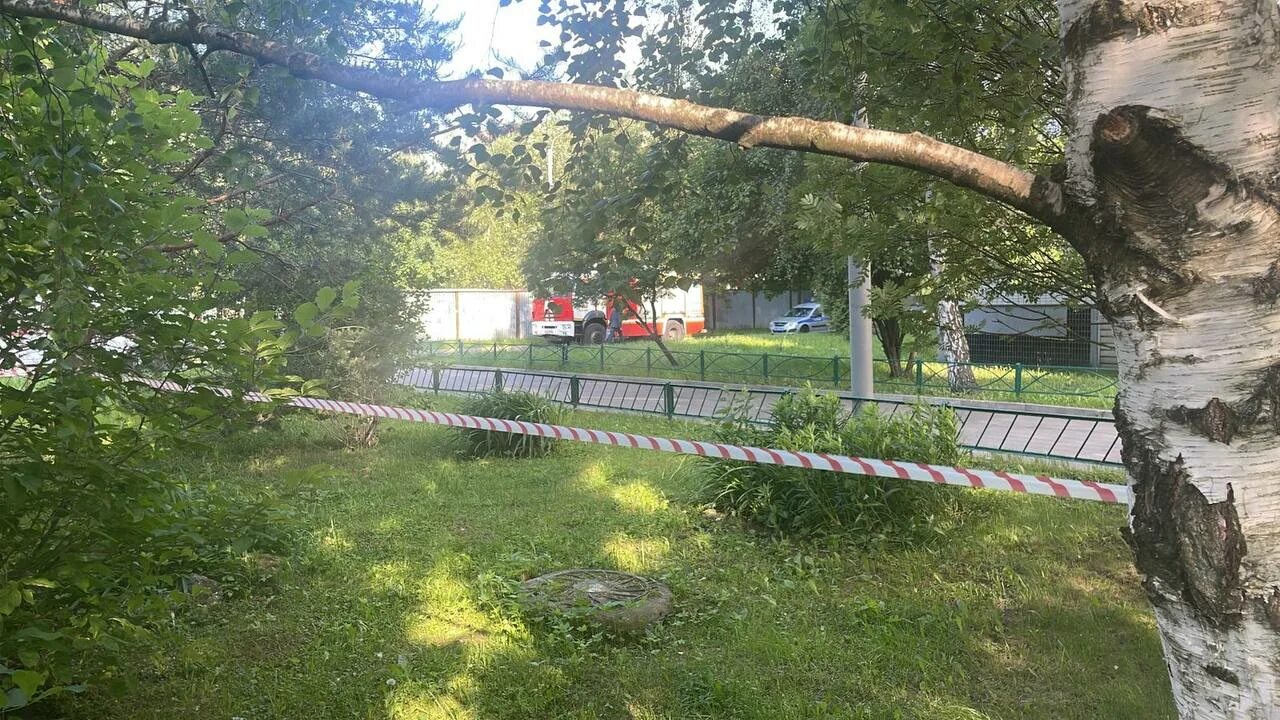 Мальчик бутово
