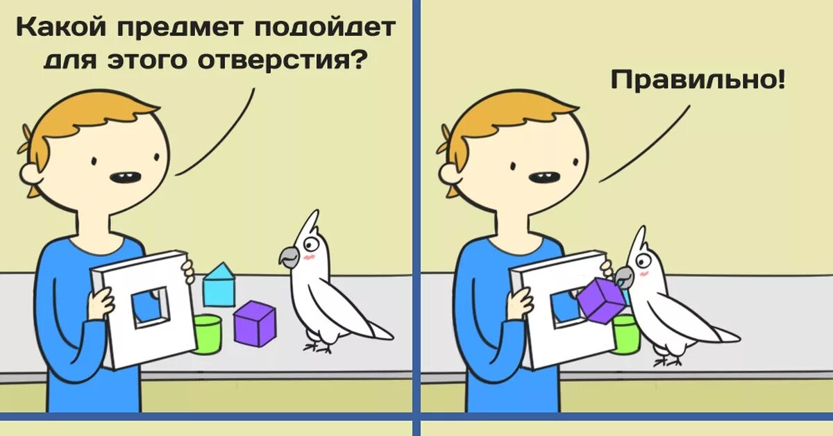 The right to object