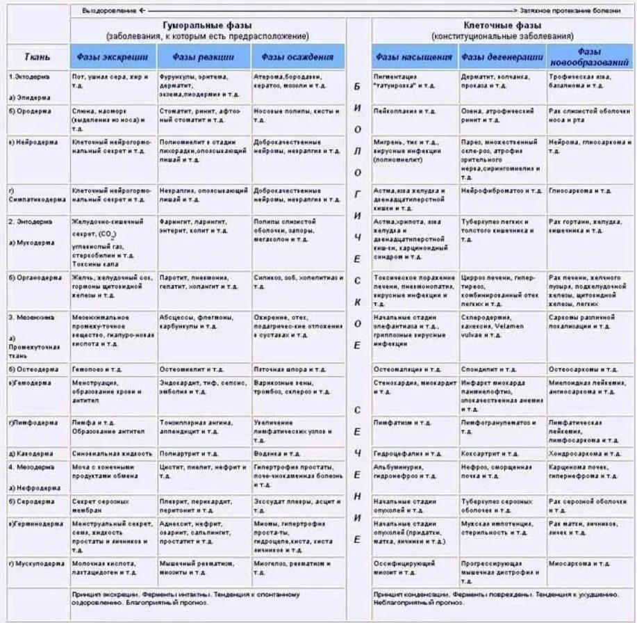 Психосоматика заболеваний синельников. Таблица психосоматических заболеваний Синельников. Таблица фаз гомотоксикоза. Таблица психосоматических заболеваний Лиз Бурбо. Психосоматика болезней таблица Синельников.