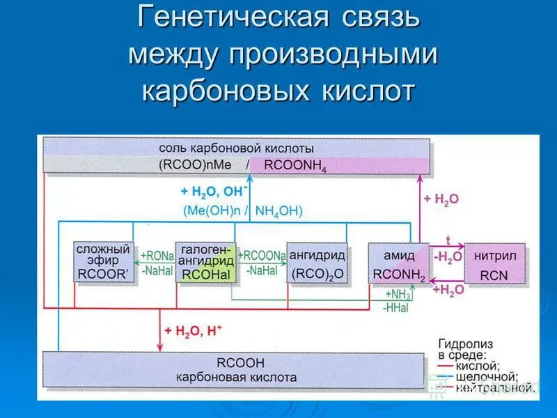 Генетическая связь c. Схема генетической связи между классами органических соединений. Генетическая связь органических веществ схема. Схема взаимосвязи органических классов веществ. Генетическая связь и взаимосвязь основных веществ.