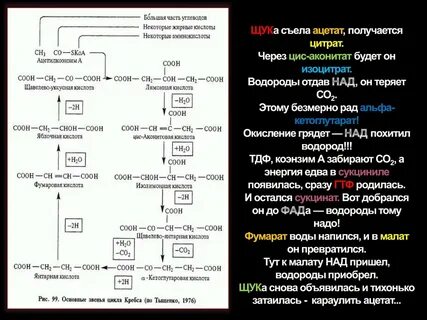 Съела схема