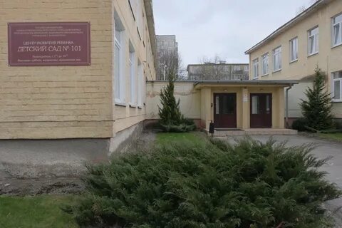 Сайт сад 101