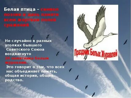 Белая птица памяти