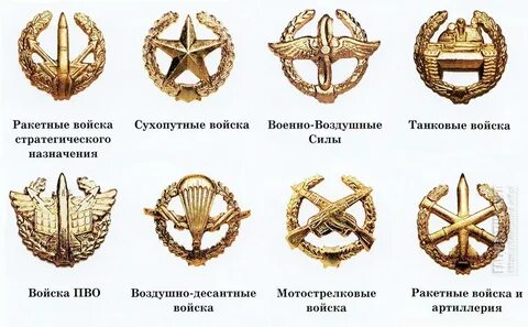 Какое название обозначают данные петлицы