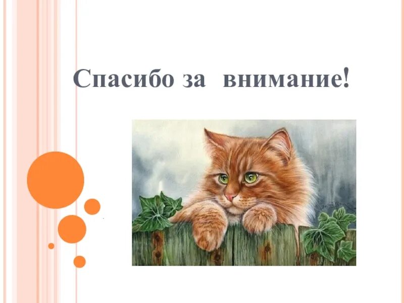 Презентация кот ворюга паустовский 3 класс. 3 Класс Паустовского к.г. «кот-ворюга»:. Кот-ворюга Паустовский рисунок. Паустовский кот ворюга иллюстрации. К Г Паустовский кот ворюга презентация 3 класс.