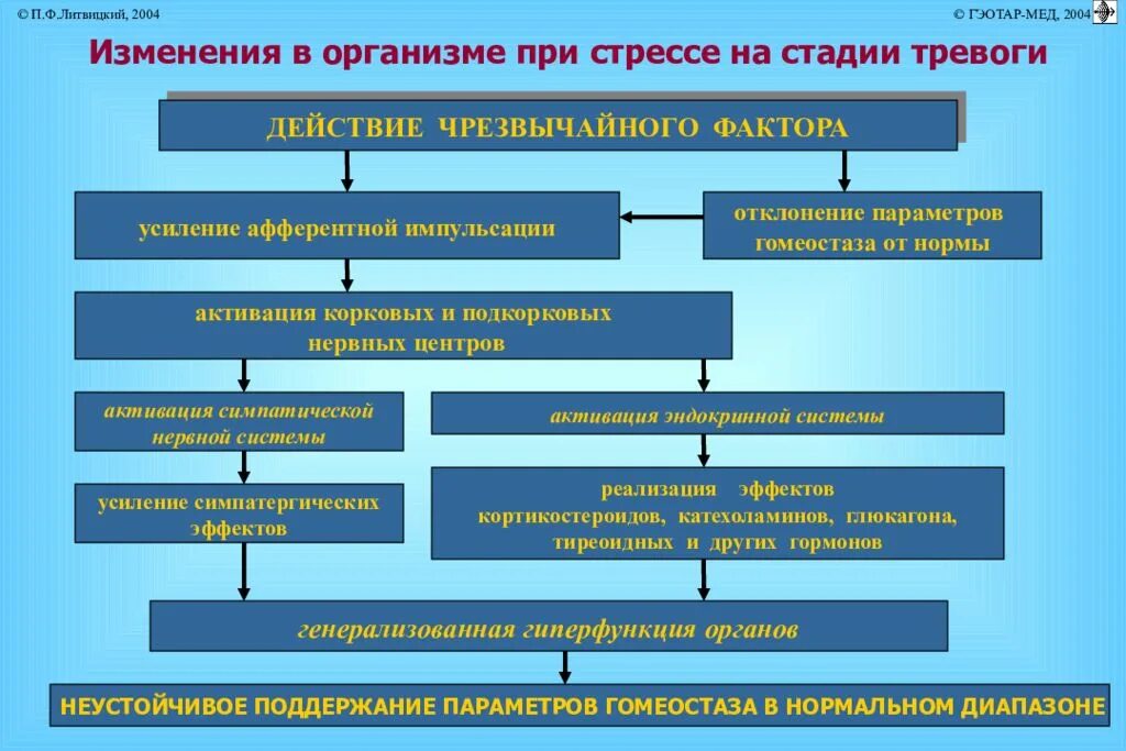 Поведение при стрессе. Изменения в организме при стрессе. Перечислите однотипные изменения в организме при стрессе. Изменения в организме при стрессе на стадии тревоги. Физиологические изменения при стрессе.