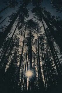 Атмосферная обложка