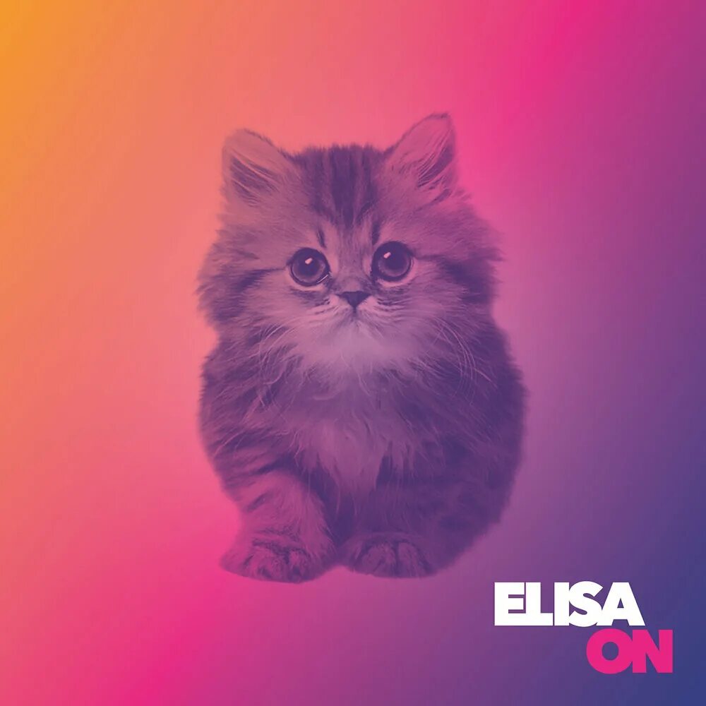 Elisa альбом. Elisa toffoli альбом then comes the sun. Elisa toffoli альбом diari aperti. Elisa слушать. Elisa альбом.