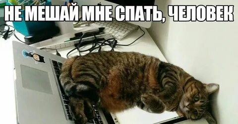 Работа мешает спать