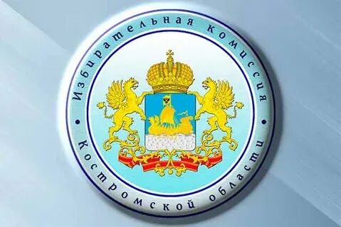 Избирательная кострома