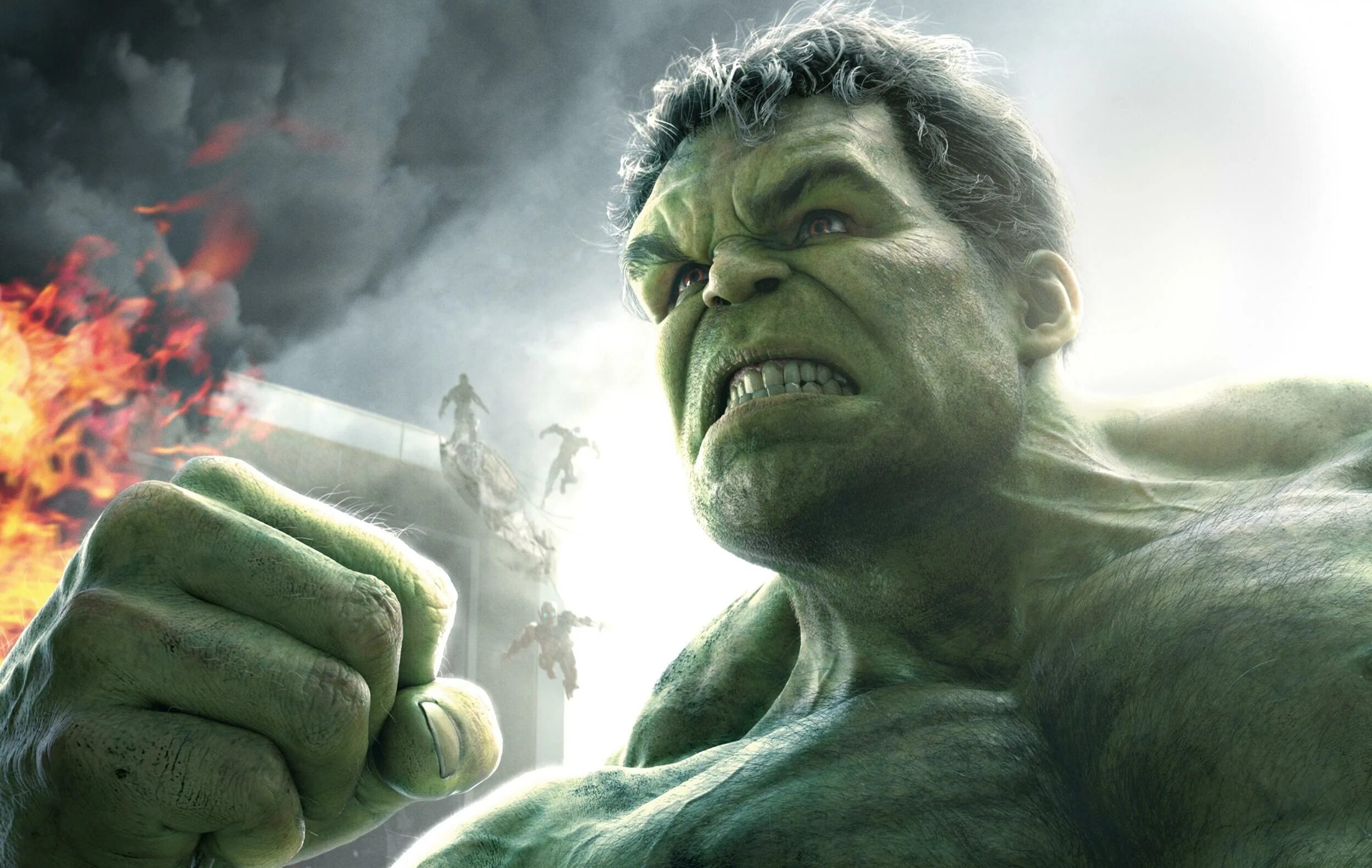 Hulk x