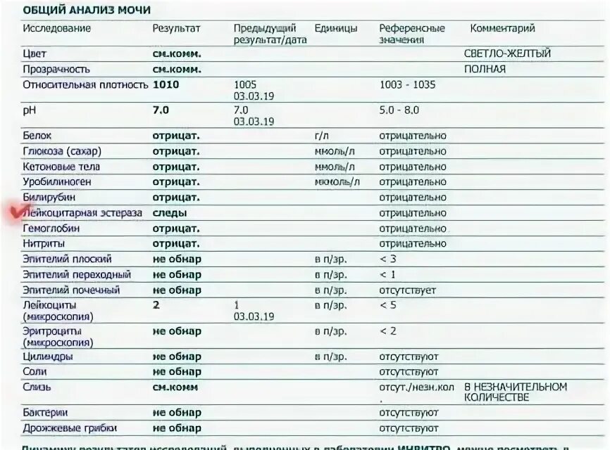 Лейкоцитарная эстераза норма. Лейкоцитарная эстераза 250 в моче. Лейкоцитарная эстераза в моче у ребенка норма. Лейкоциты в моче следы.