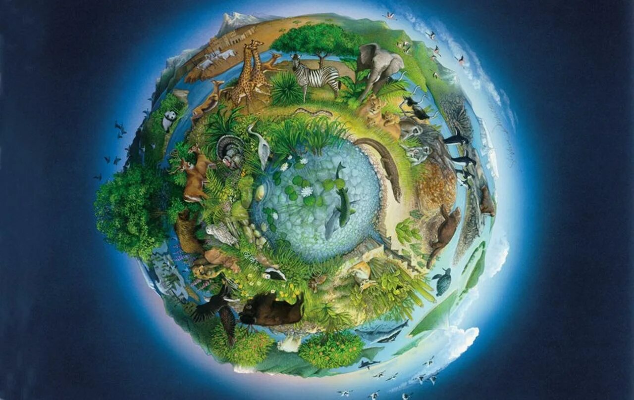 Роль экосистемы в жизни человека. Биосфера Живая оболочка земли. Биосфера — Живая оболочка планеты. Экосистема земли. Планета земля.