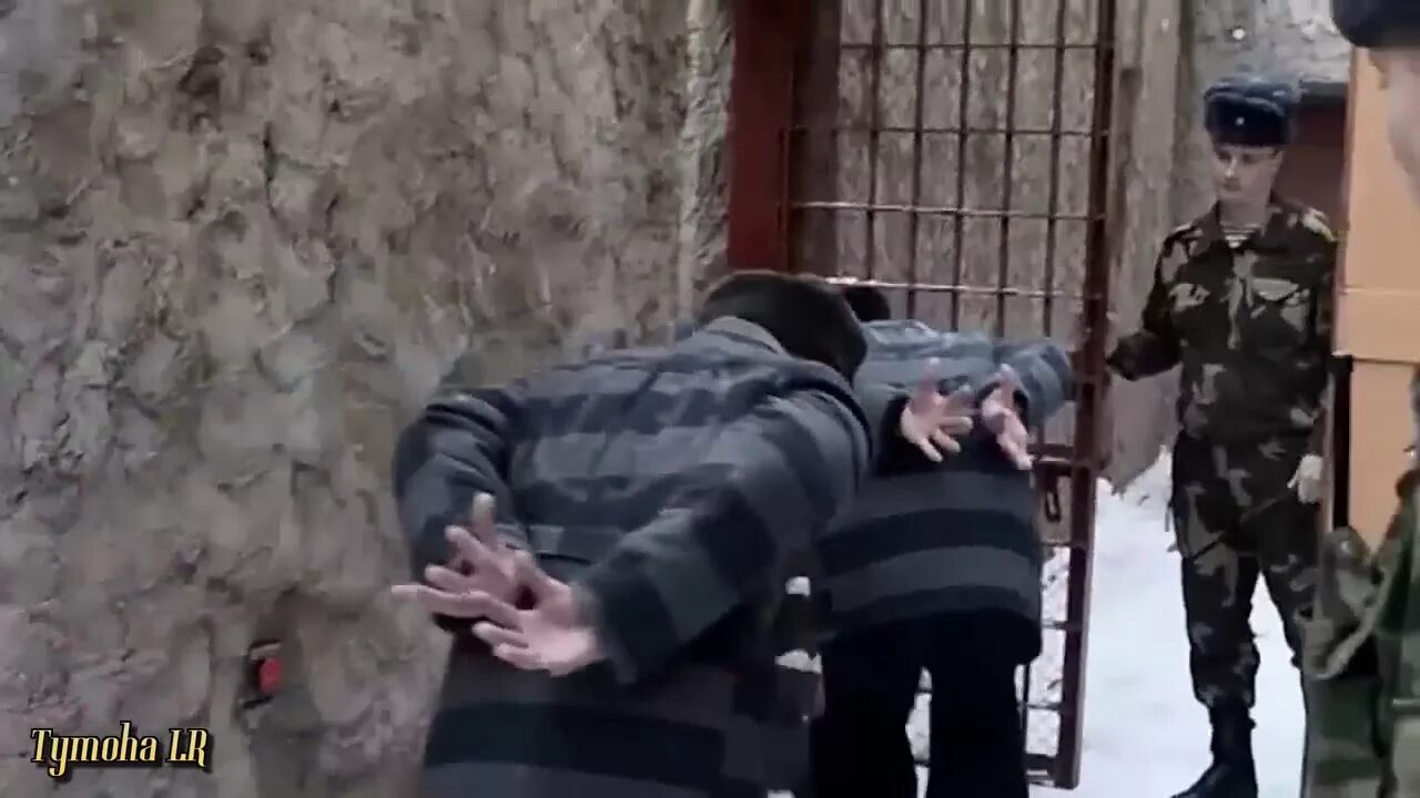 Песня запахло весной бутырка. Бутырка аттестат. Блатной пес. Бутырка аттестат в крови. Владимир ждамиров не шутите пацаны.