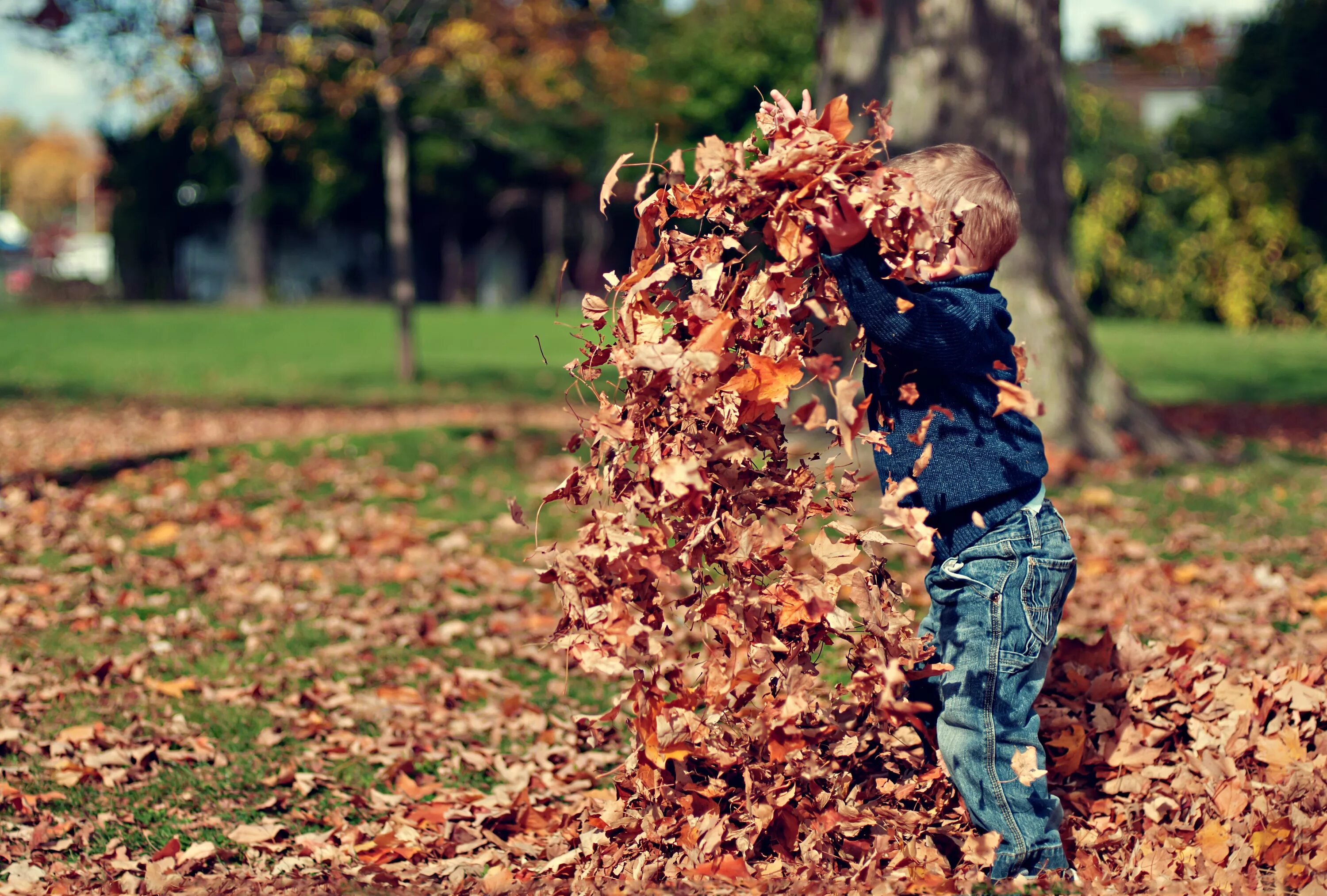 In autumn it is often. Осень. Осень люди. Осень для детей. Дети осенью.
