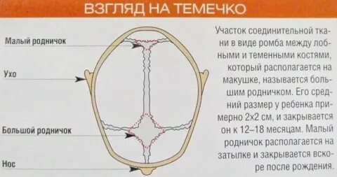 Количество зарасти
