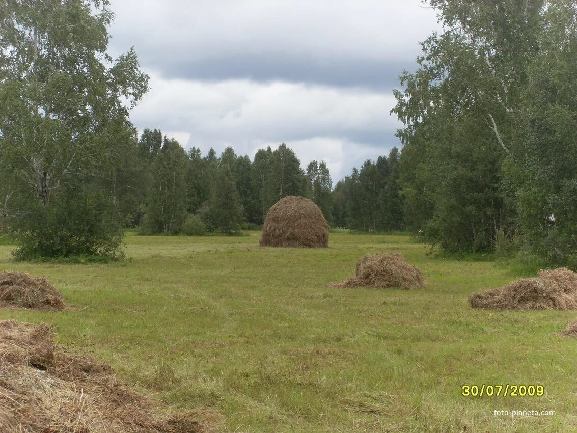 Село Костино Муромцевский район. Костино Омская область Муромцевский район. Костино Омская область Муромцевский район ул Ленина. Деревня Костино Омская область.