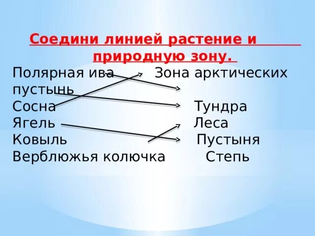 Тундра природная зона животные. Растения различных природных зон. Какие растения в природной зоне. Распредели растения по природным зонам россии. Что растет в природной зоне.