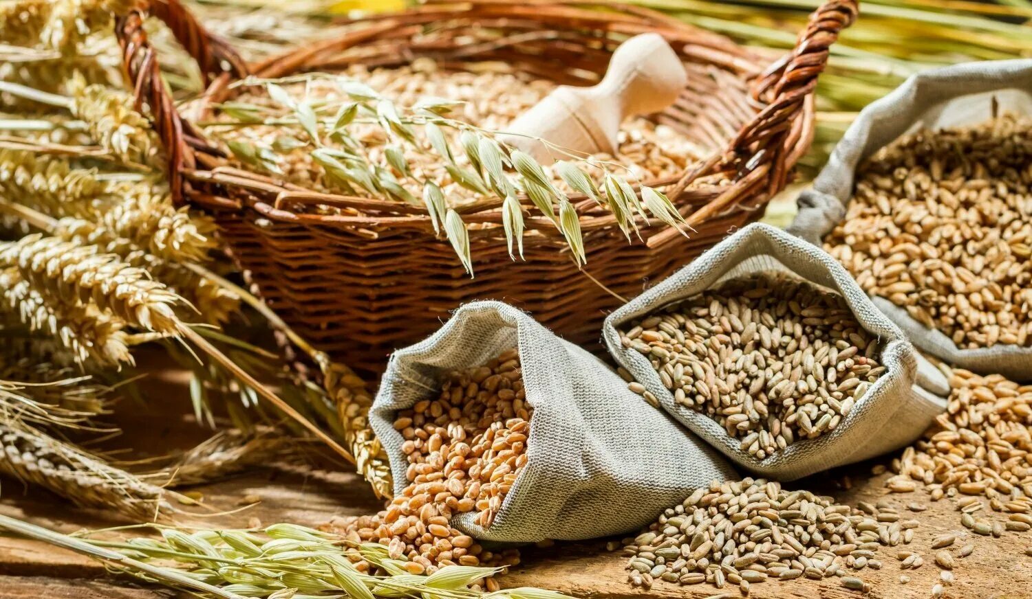 Основы сельскохозяйственной продукции