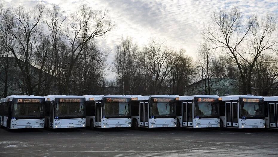 Петербург автобус пассажир. Автобусный парк 6 спб гуп пассажиравтотранс. автобусный парк 1 спб гуп пассажиравтотранс. автобусный парк 7 спб гуп пассажиравтотранс. автобусный парк 2 пассажиравтотранс.