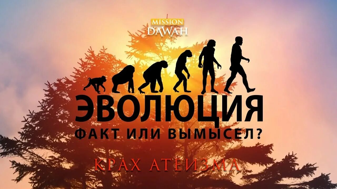 Эволюция от обезьяны до человека. Эволюция человека. Эволюция дарвин хомо. Эволюция человека от обезьяны. Крах эволюции.